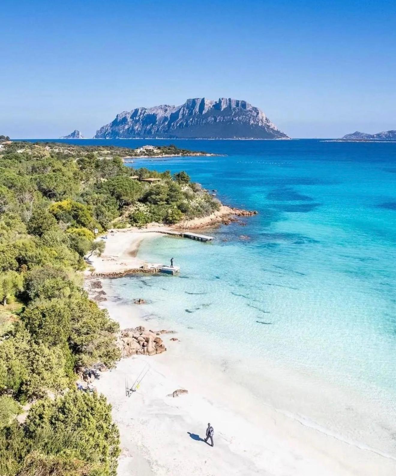 Seaside Elegance 50m From The